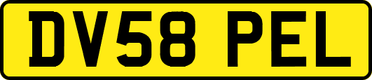 DV58PEL