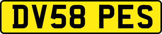 DV58PES