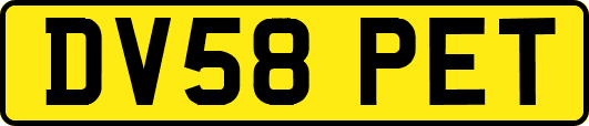 DV58PET