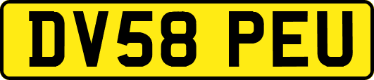 DV58PEU