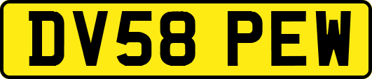 DV58PEW