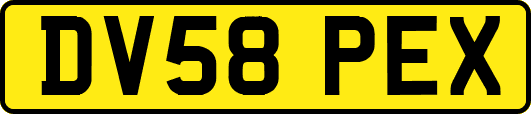 DV58PEX