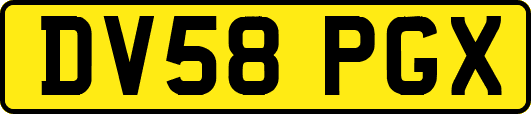 DV58PGX
