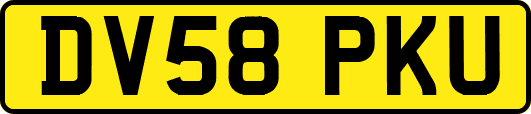 DV58PKU