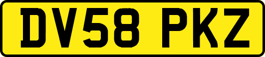 DV58PKZ