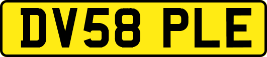 DV58PLE