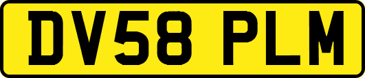 DV58PLM