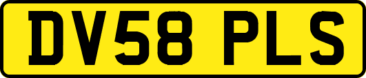 DV58PLS