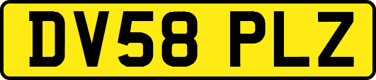 DV58PLZ