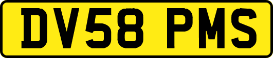 DV58PMS