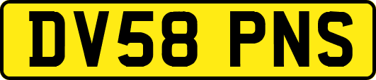 DV58PNS