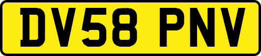 DV58PNV