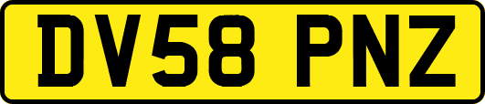 DV58PNZ