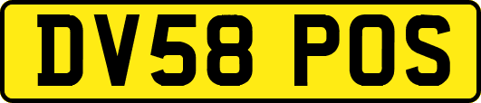 DV58POS