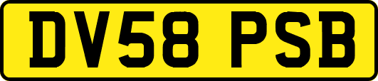 DV58PSB
