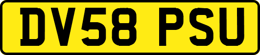 DV58PSU