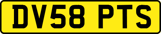 DV58PTS