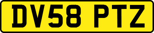 DV58PTZ