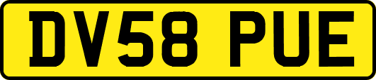 DV58PUE