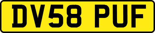 DV58PUF