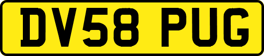 DV58PUG