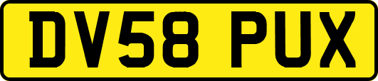 DV58PUX
