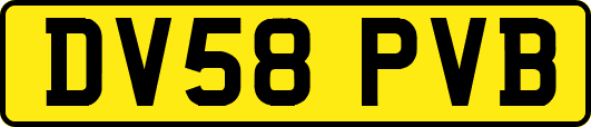DV58PVB