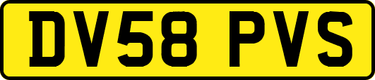 DV58PVS