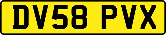 DV58PVX