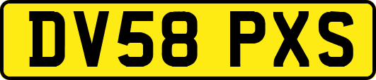 DV58PXS
