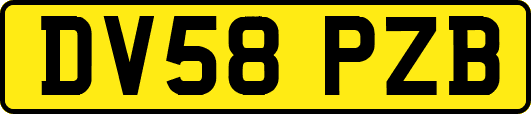 DV58PZB