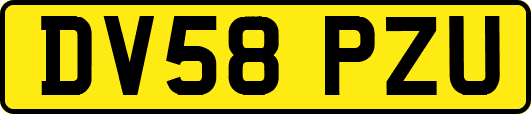 DV58PZU