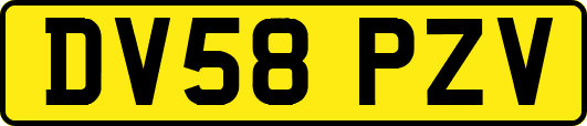 DV58PZV