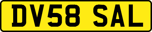 DV58SAL