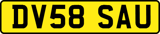 DV58SAU