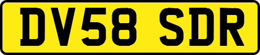 DV58SDR