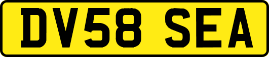 DV58SEA