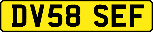 DV58SEF