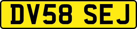 DV58SEJ