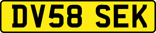 DV58SEK
