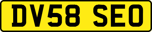 DV58SEO