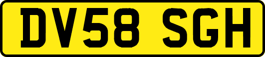 DV58SGH