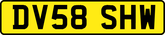 DV58SHW