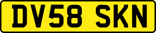 DV58SKN