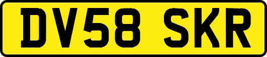 DV58SKR