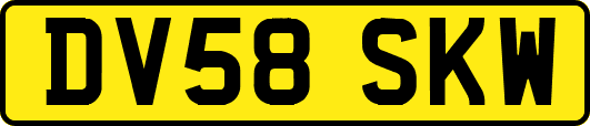 DV58SKW