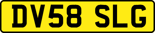 DV58SLG