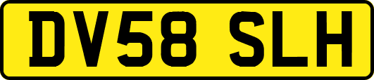 DV58SLH