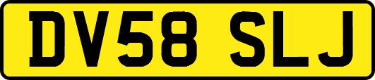 DV58SLJ