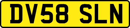 DV58SLN